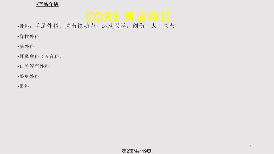 美国史赛克动力系统PPT课件.pptx_第2页