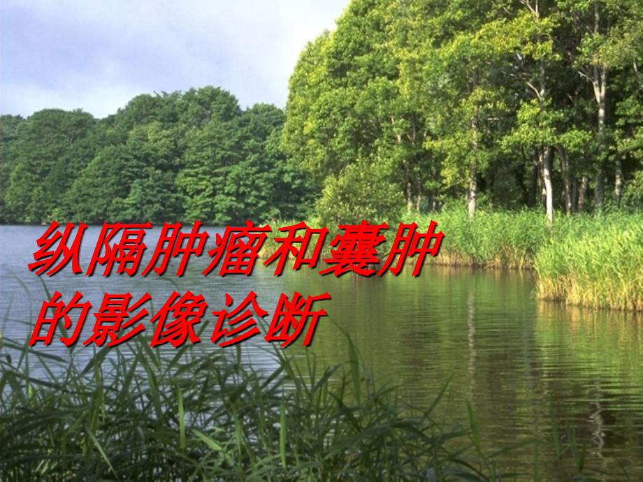 详解纵隔肿瘤以及鉴别诊断.ppt_第1页