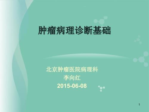 肿瘤病理学ppt课件.ppt