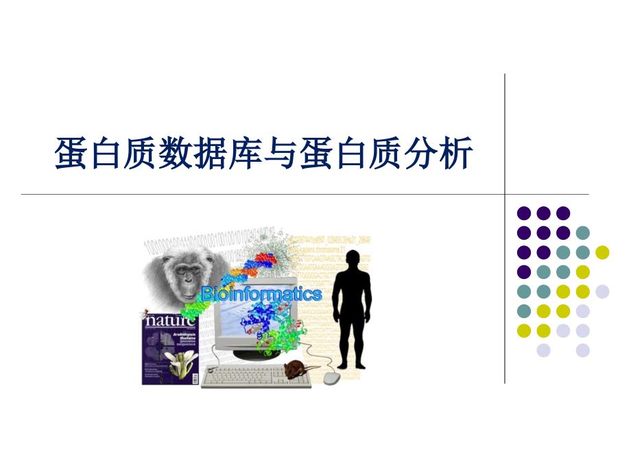 蛋白质数据库与蛋白质分析生物信息学.pptx_第1页