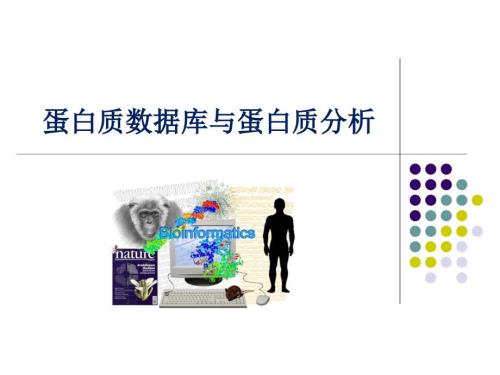 蛋白质数据库与蛋白质分析生物信息学.pptx