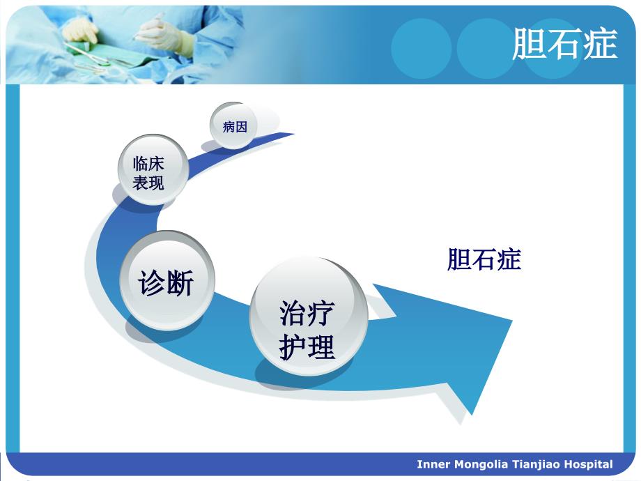 胆石症的治疗与护理.ppt_第2页