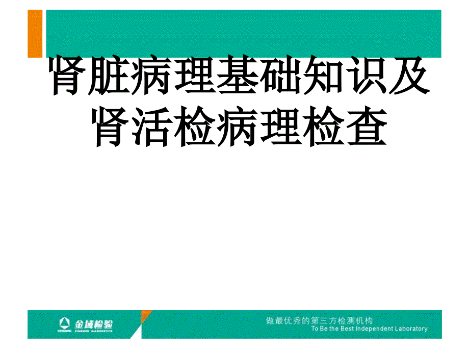 肾活检病理检查及肾脏病理基础知识.ppt_第1页