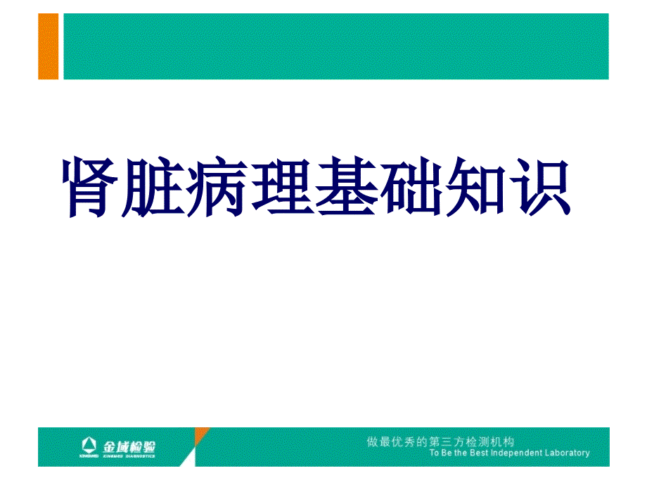 肾活检病理检查及肾脏病理基础知识.ppt_第2页