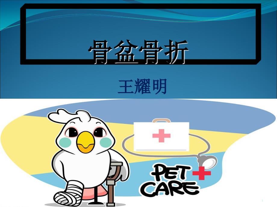 骨盆骨折ppt课件.ppt_第1页