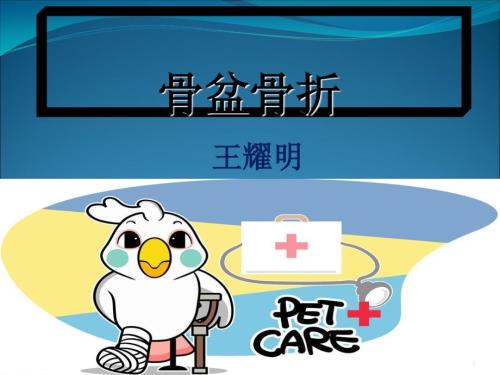 骨盆骨折ppt课件.ppt