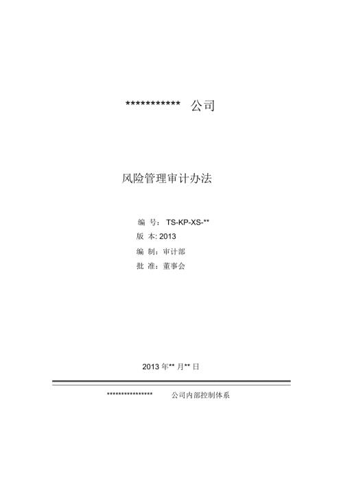风险管理审计办法.doc