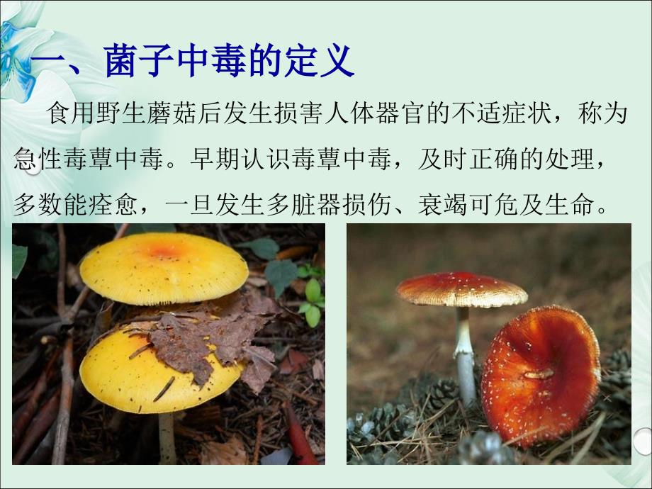 菌子中毒的护理查房ppt课件.pptx_第2页