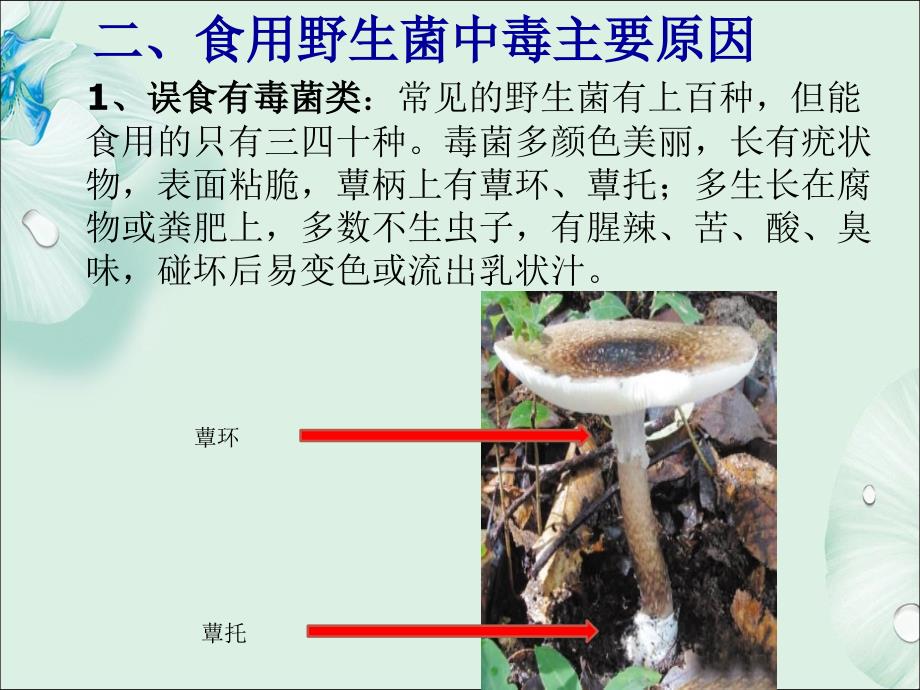 菌子中毒的护理查房ppt课件.pptx_第3页