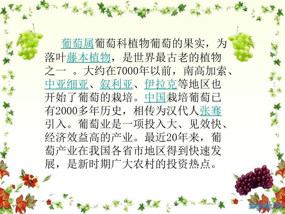 葡萄种植技术PPT课件.ppt_第2页