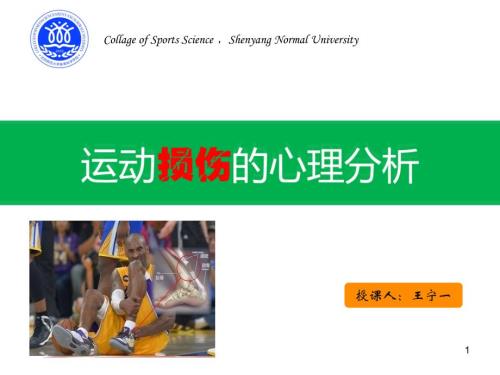 运动损伤的心理分析ppt课件.ppt