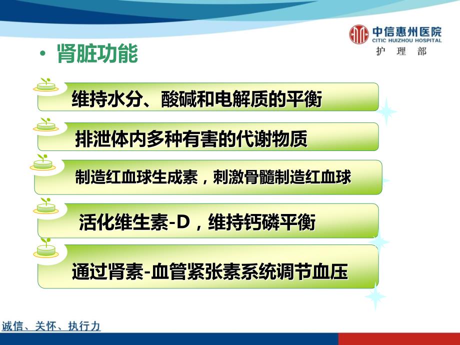 血透患者的健康教育.ppt_第2页
