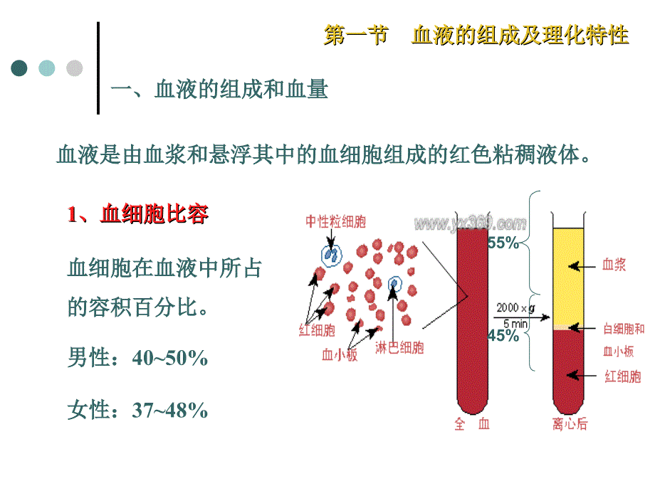 血液组成及功能PPT课件.ppt_第3页