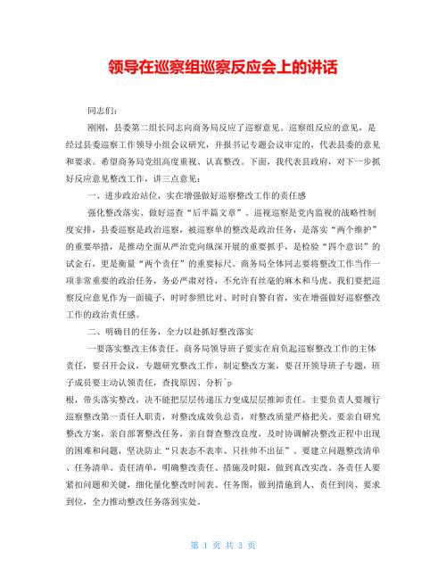 领导在巡察组巡察反馈会上的讲话.doc