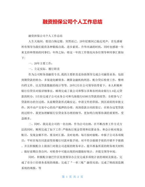 融资担保公司个人工作总结.doc