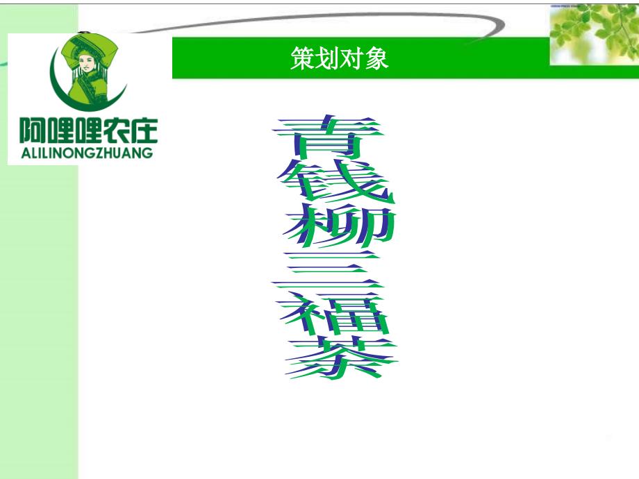 青钱柳三福茶营销策划方案.ppt_第2页