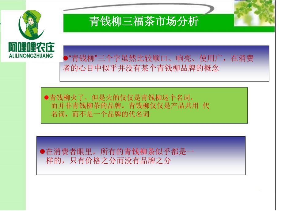 青钱柳三福茶营销策划方案.ppt_第3页