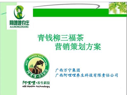青钱柳三福茶营销策划方案.ppt