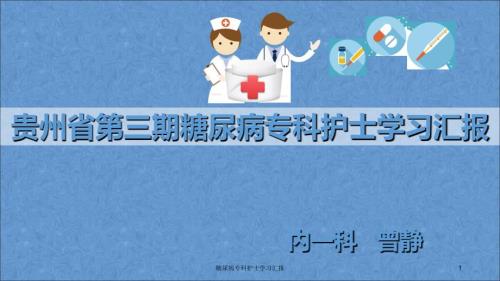 糖尿病专科护士学习汇报课件.ppt