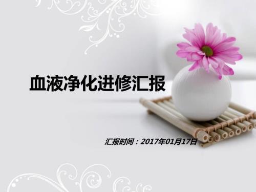 血透室进修汇报.pptx