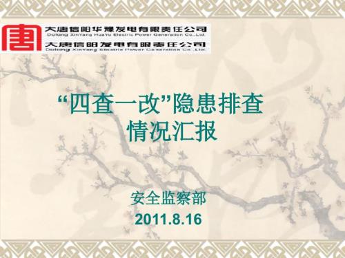 隐患排查治理情况汇报.ppt