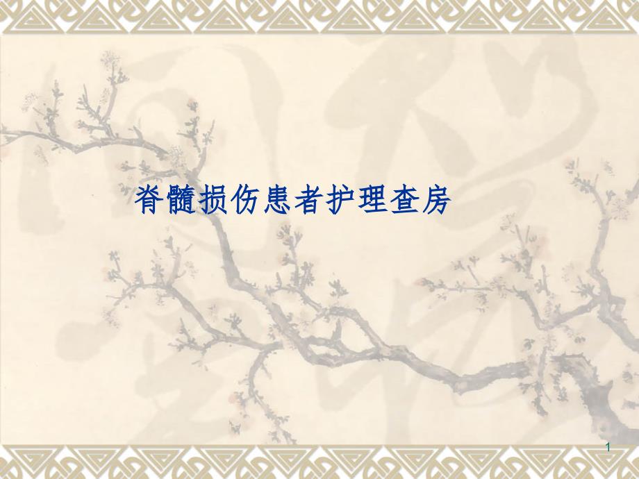 脊髓损伤患者的护理查房.ppt_第1页
