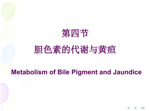 胆红素代谢课件.ppt