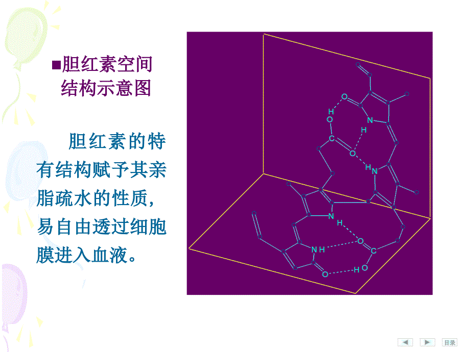 胆红素代谢课件.ppt_第3页