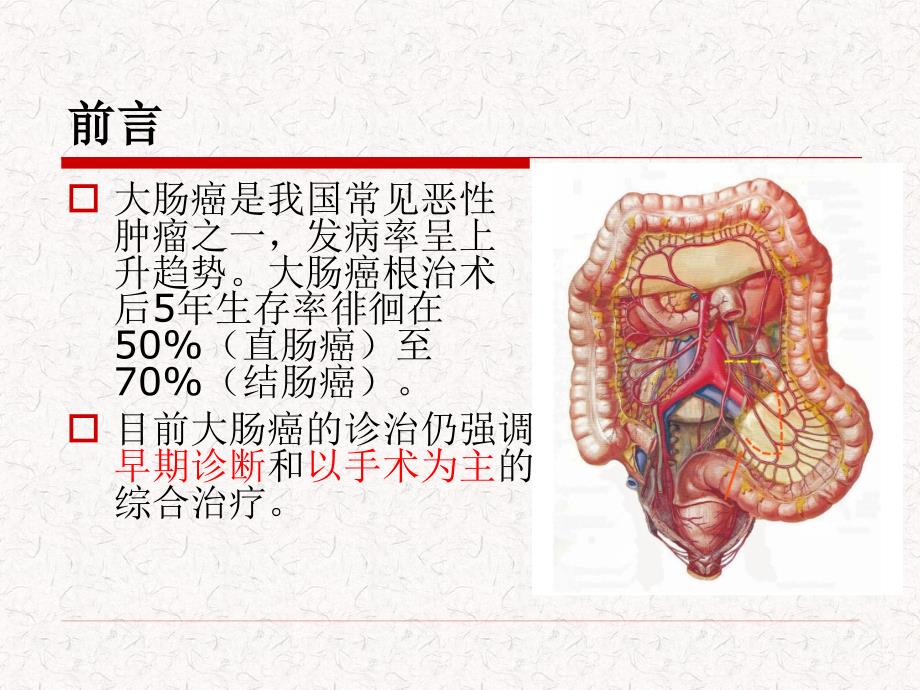 腹腔镜大肠癌手术.ppt_第2页