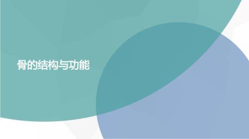 骨的结构和功能.ppt