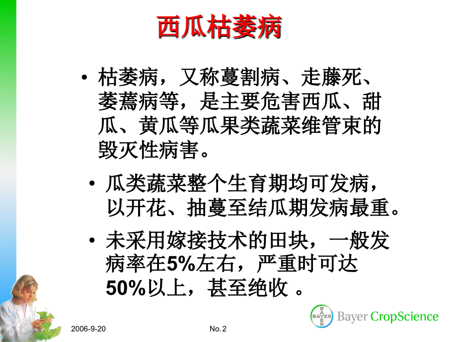 西瓜病虫害防治技术PPT课件.ppt_第2页