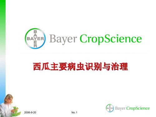 西瓜病虫害防治技术PPT课件.ppt