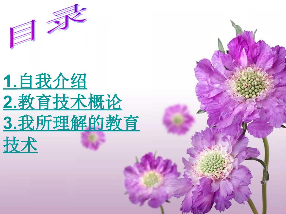 自我介绍2.教育技术概论3.我所理解的教育技术.ppt_第2页