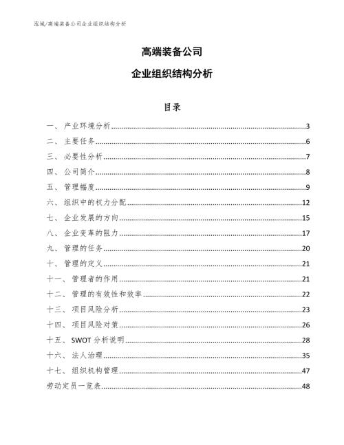 高端装备公司企业组织结构分析参考.docx