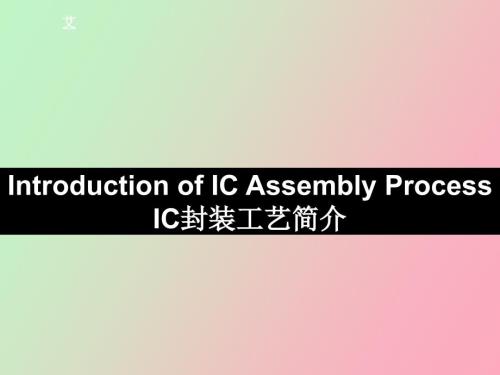 芯片封装详细图解.ppt
