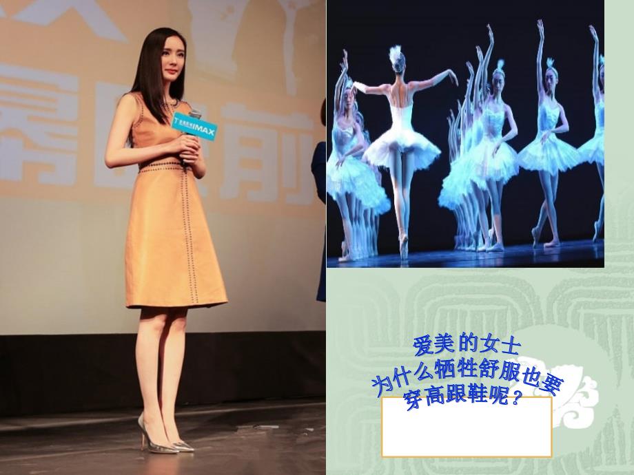 黄金分割公开课.ppt_第1页