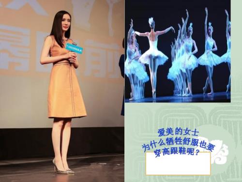 黄金分割公开课.ppt