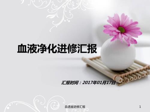 血透室进修汇报ppt课件.ppt