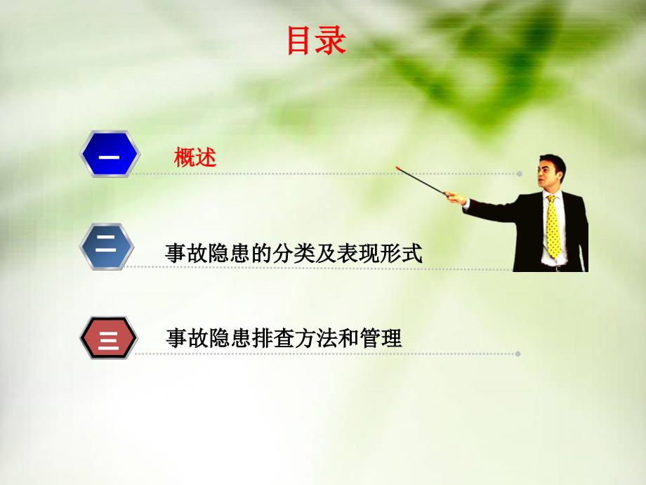 隐患排查治理实用培训.ppt_第2页
