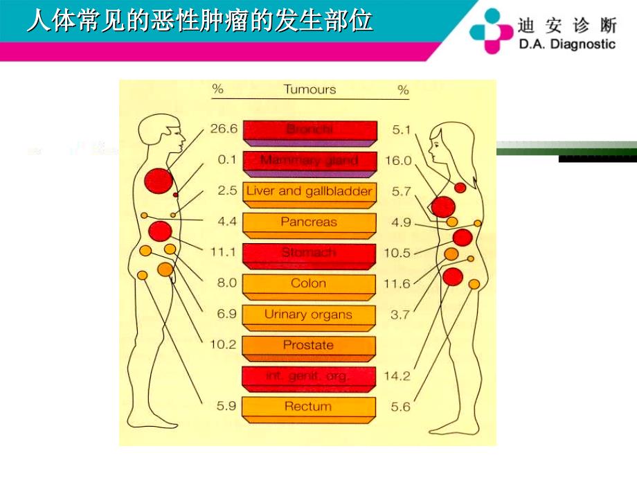 肿瘤标志物PPT课件.ppt_第2页