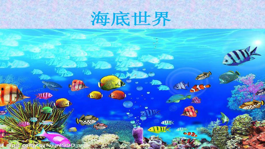 轻粘土海底世界PPT课件.ppt_第2页
