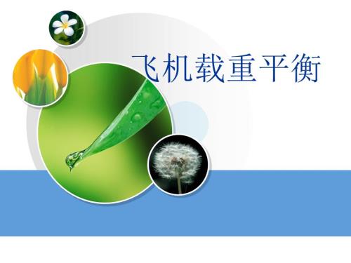 飞机载重平衡.ppt.ppt