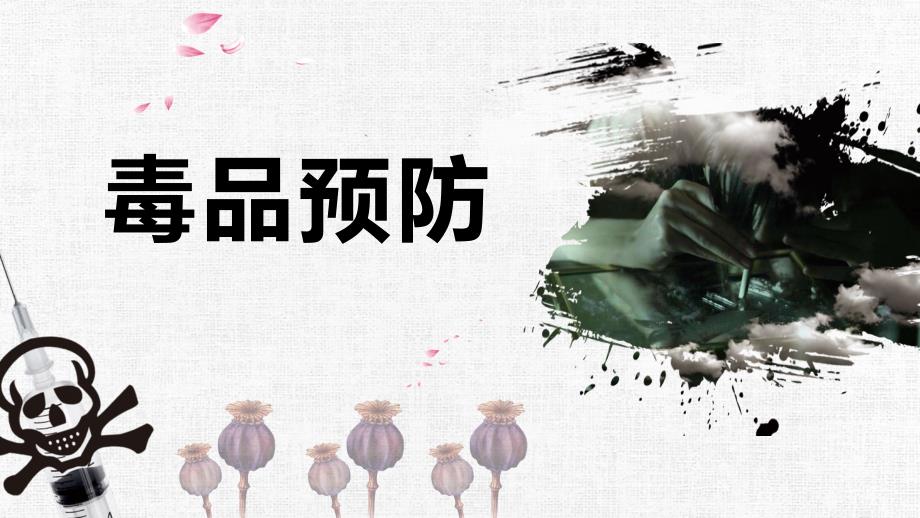青少年禁毒防艾毒品预防教育专题讲座PPT模板.pptx_第1页