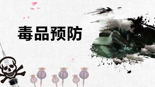 青少年禁毒防艾毒品预防教育专题讲座PPT模板.pptx