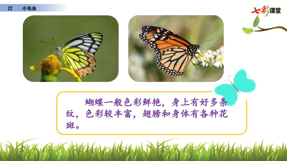 部编语文二下22小毛虫ppt课件.pptx_第3页