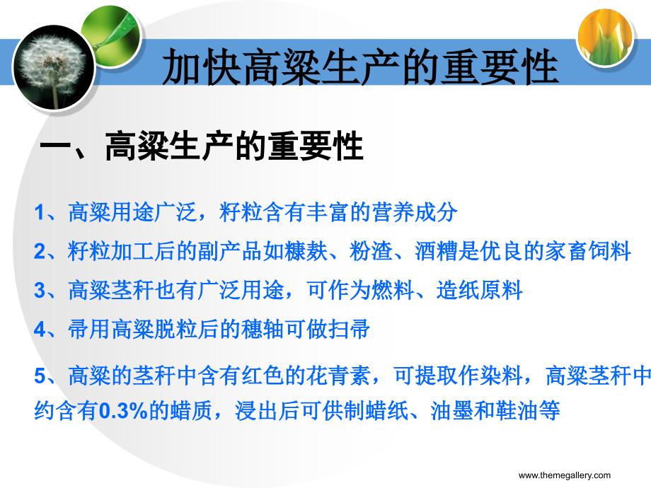 高粱高产栽培技术PPT课件.ppt_第2页