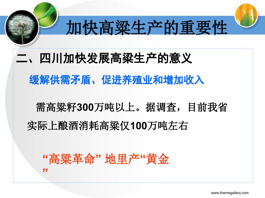 高粱高产栽培技术PPT课件.ppt_第3页