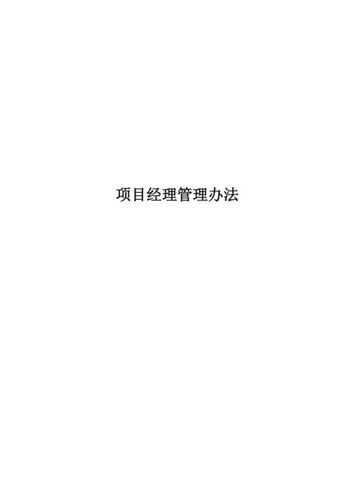项目经理管理办法.doc