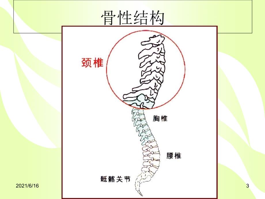 颈椎病的健康教育.ppt.ppt_第3页