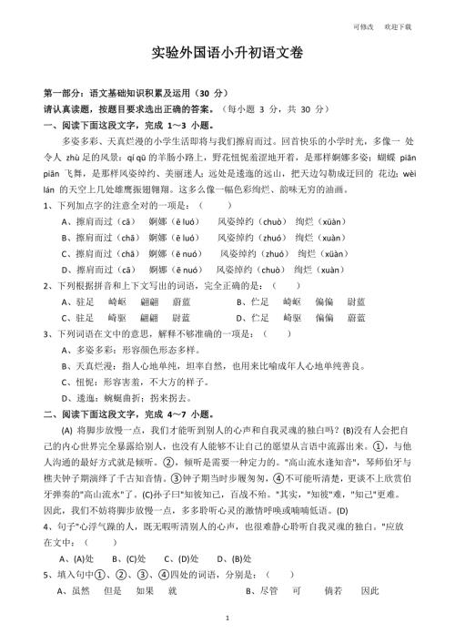 部编版2021年六年级下册语文小升初试卷试题真题含答案.doc